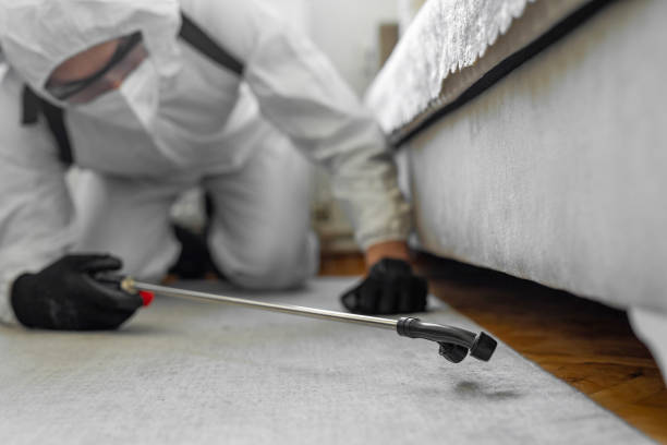 Professional Bed Bug Control technician working in Parke County County, IN